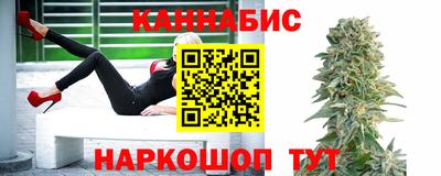 сатива Можга