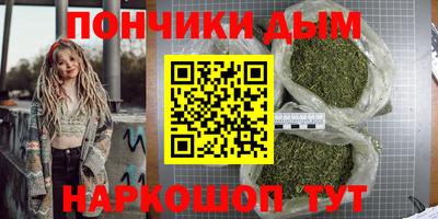 сатива Можга