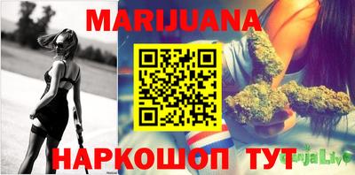 сатива Можга