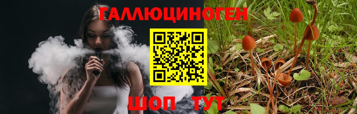 Галлюциногенные грибы Psilocybe  Галлюциногенные грибы мухоморы  Вход с VPN  Джанкой 